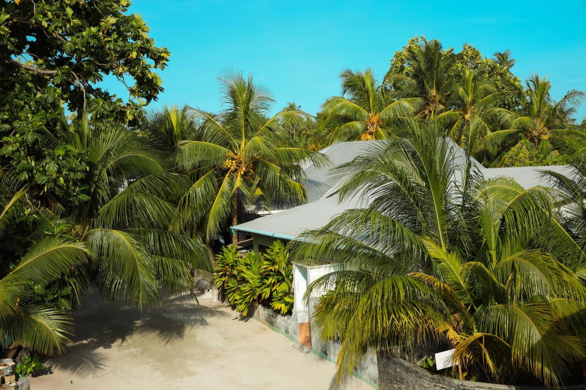 Shifa Lodge Maldives Feridhoo Exterior photo